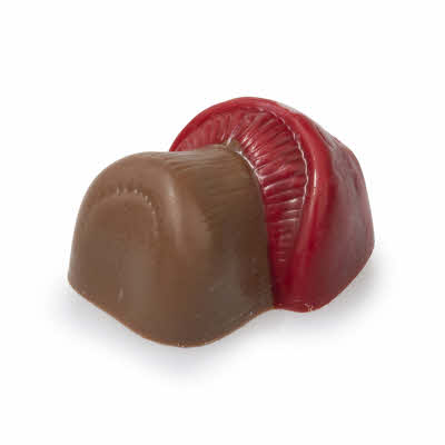 Paddestoel Gevuld Melk