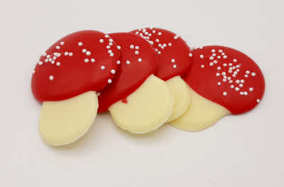 Paddestoelen chocolaatjes